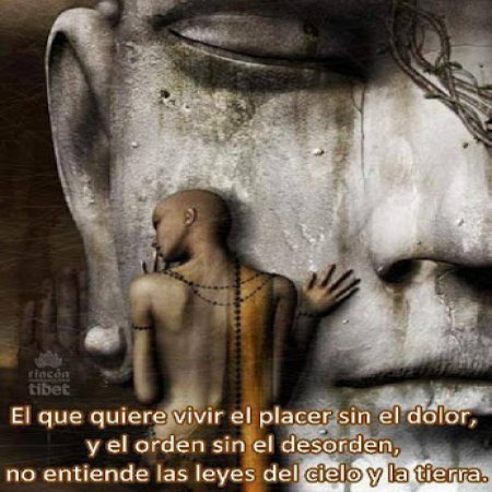 Frases Celebres