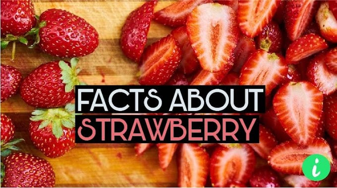 Strawberry Nutrition: 10 Fun Facts About Strawberry - InfoHifi