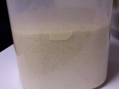 salt-rising-bread 017