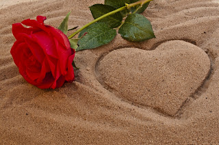 liebesbilder, herzenbilder, herz, love, love picture, rose, strand, sand