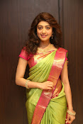 pranitha glam pics in saree-thumbnail-24