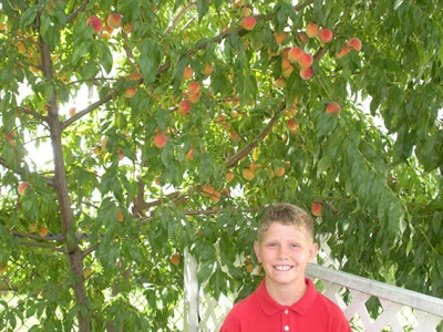 Annieinaustin, Jake's peach tree