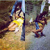 KENYA: Shock as Drunk Girl is r.aped and dumped in a ditch at Masaku 7s