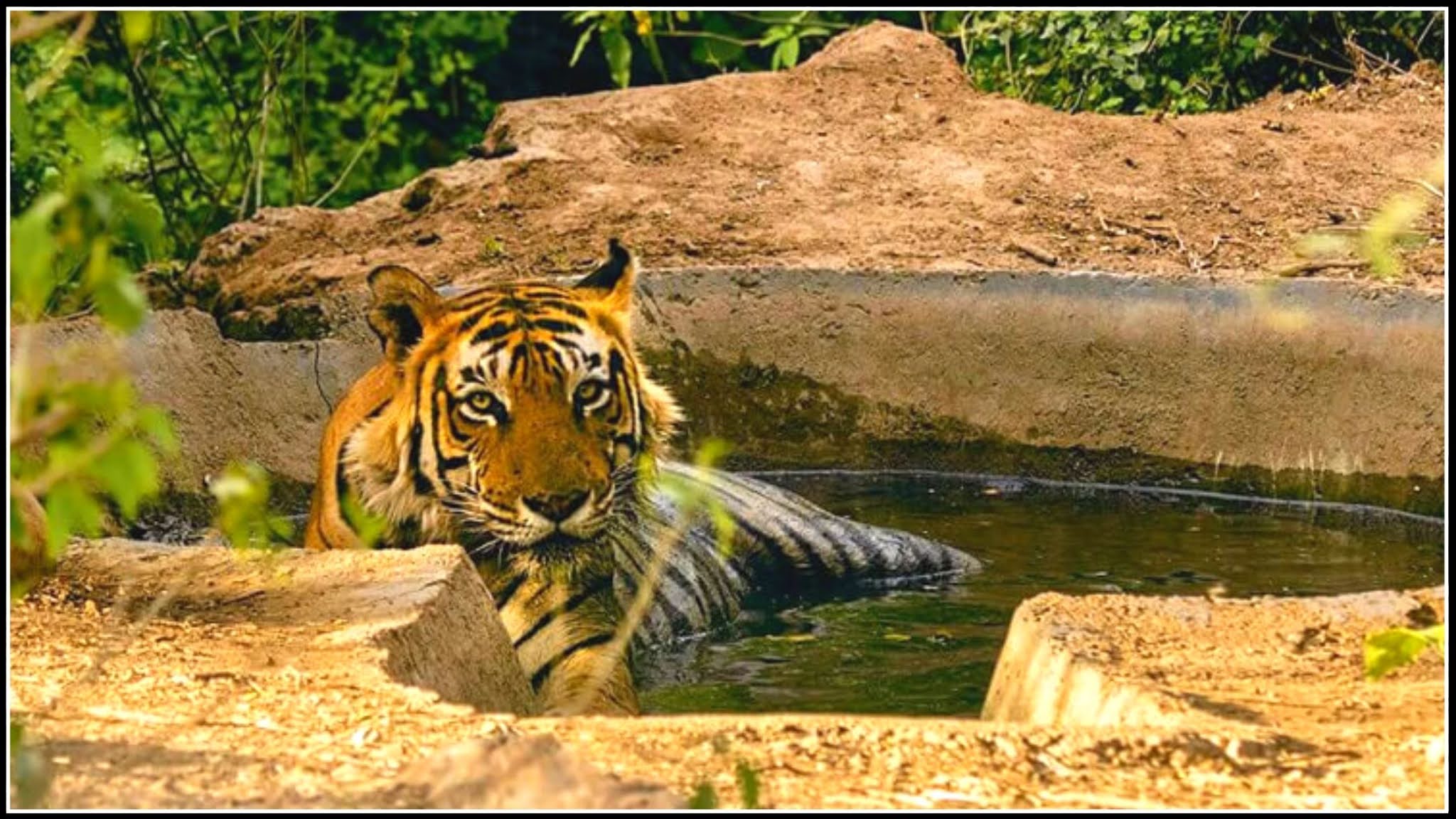 Wildlife Sanctuary in Rajasthan