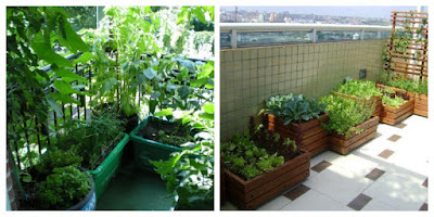 BALCONY GARDENS IDEAS