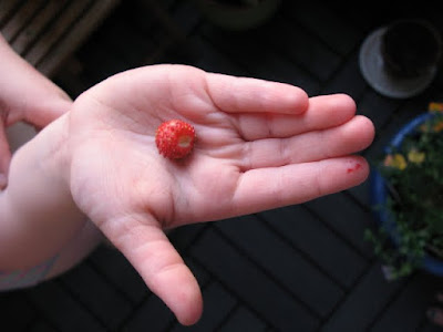 first strawberry