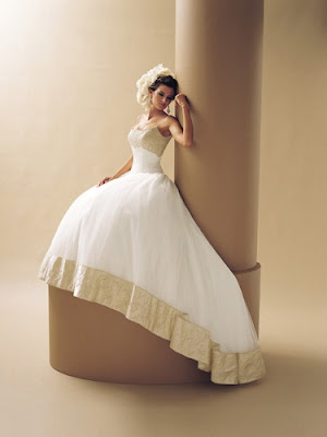 Plus Size Wed Gown