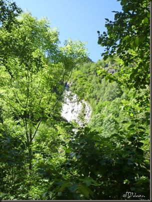 P1100789
