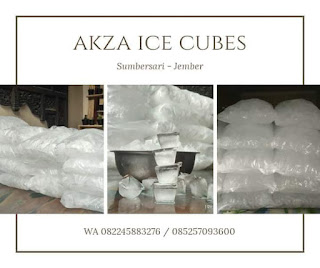 Jual es cubes di jember