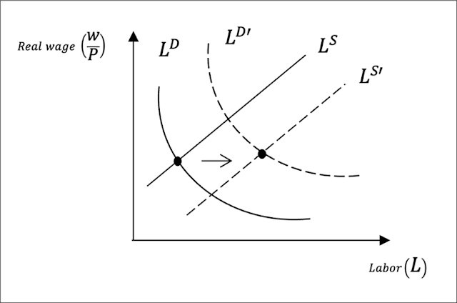 Figure 1. Shifts in the Labor Demand and Labor Supply Curves from an Increase in Water Supply