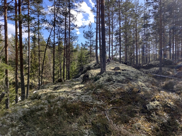 simarudkollen ådalen