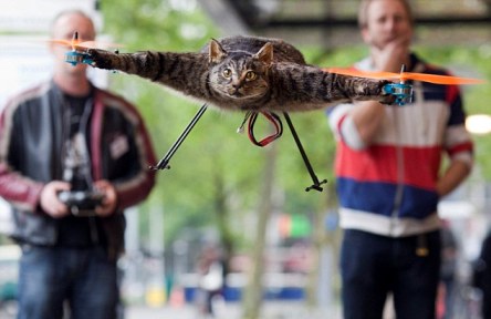 The Orvillecopter: Helikopter Yang Terbuat Dari Kucing Mati [ www.BlogApaAja.com ]