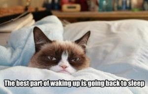 Grumpy Cat Quotes