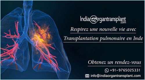 Transplantation pulmonaire