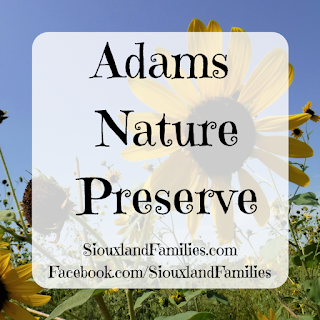 yellow prairie flowers appear against a blue sky in the background