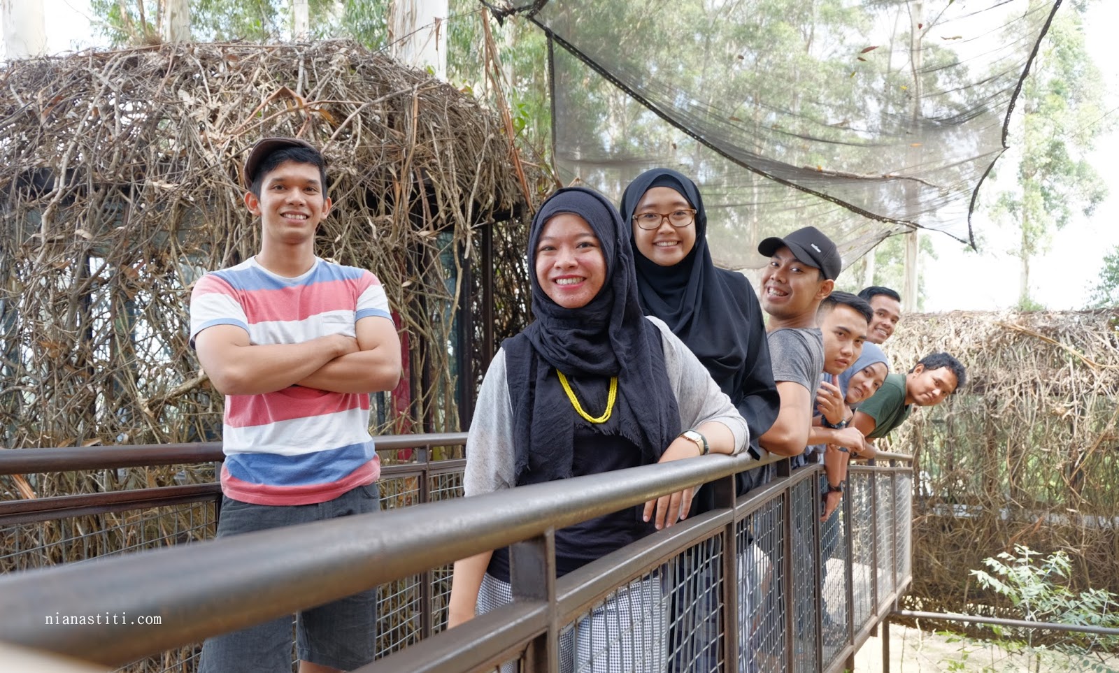Makan di Sarang Burung Lutung Kasarung Dusun Bambu 