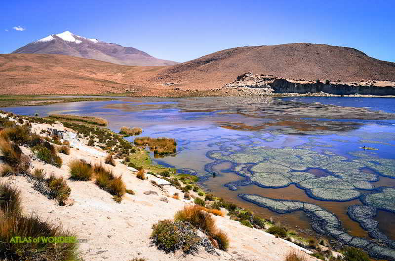 Laguna Turquiri