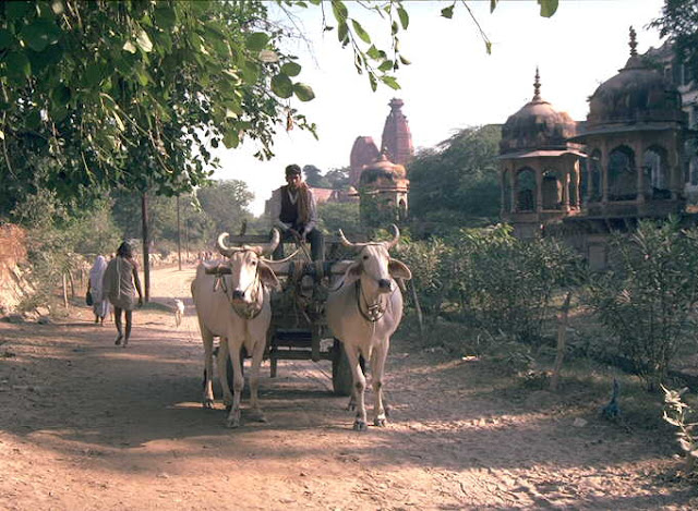 The Holy Land of Vrindavana