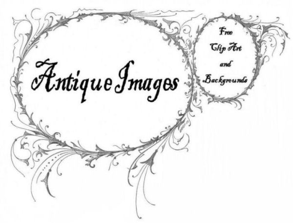 clip art flowers black and white. Free Flower Clip Art: Antique