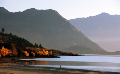 Dublin Bay - Wanaka