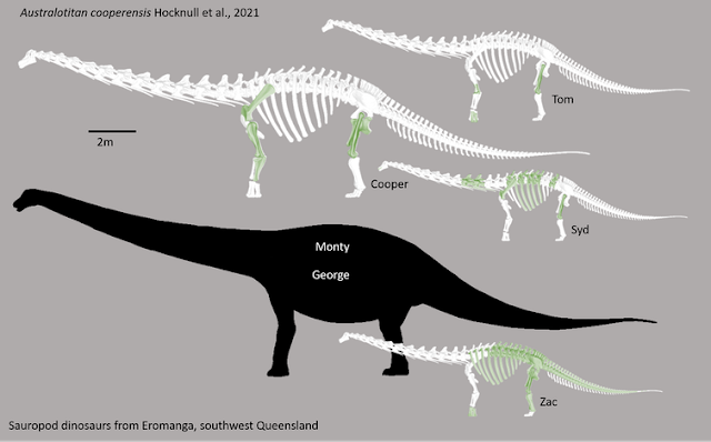 Δεινόσαυρος που εντοπίστηκε στην Αυστραλία είναι ο μεγαλύτερος που βρέθηκε ποτέ στην ήπειρο