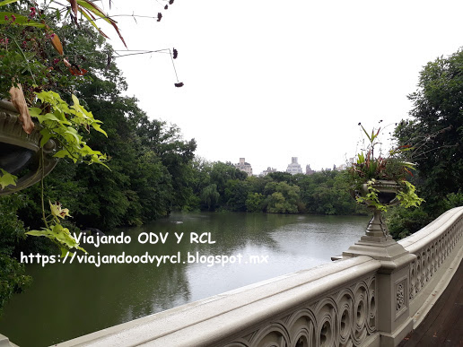 Que hacer, a donde ir, que visitar en New York. Central Park en un día. Visita a Museo de Historia Natural.