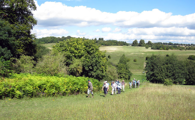 The OFC walking over rolling hills.  Orpington Field Club visit to Lullingstone Country Park.  13 August 2011.