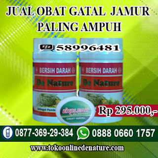 JUAL OBAT GATAL JAMUR PALING AMPUH