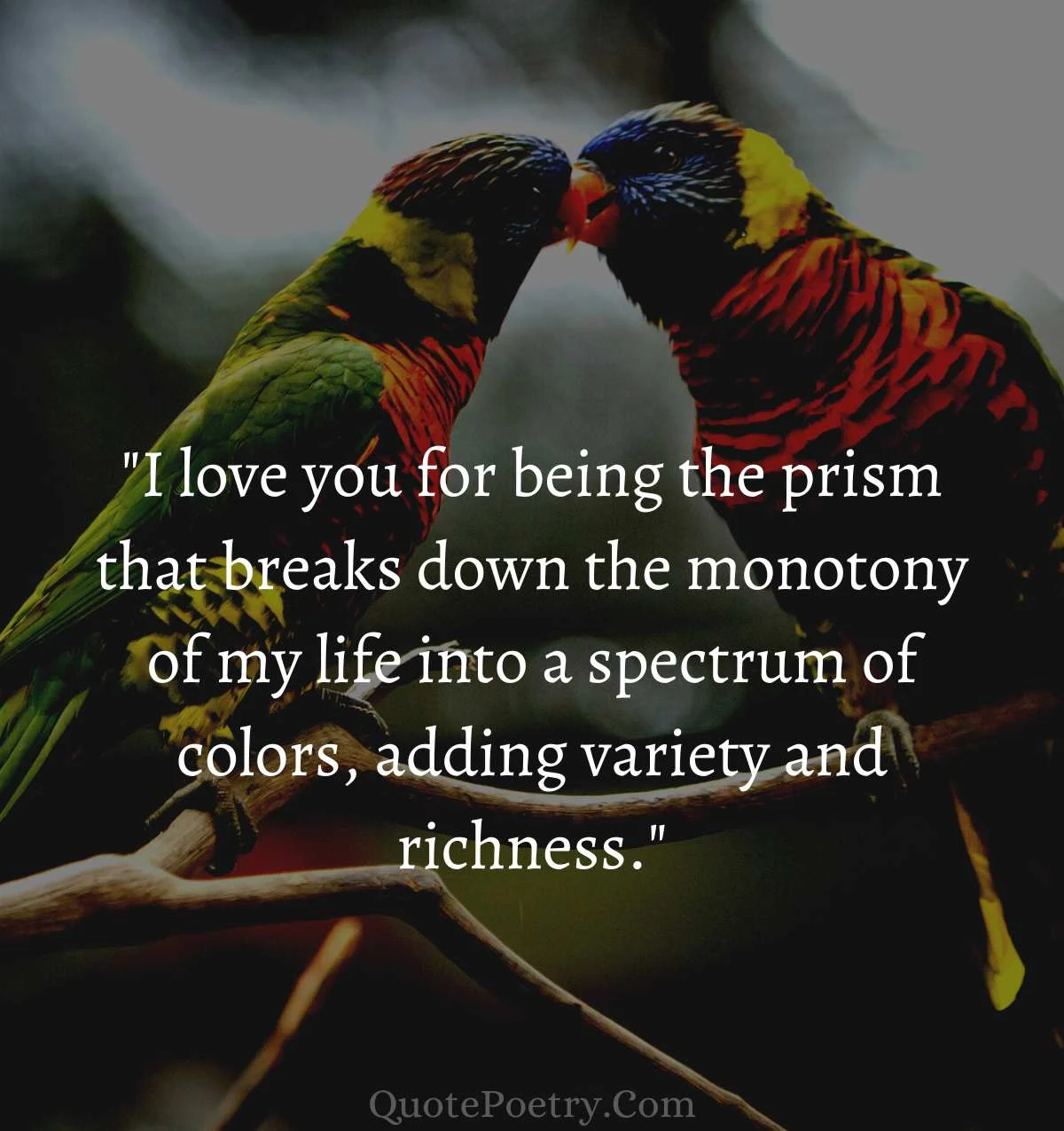 You Bring color To My  Life Quotes