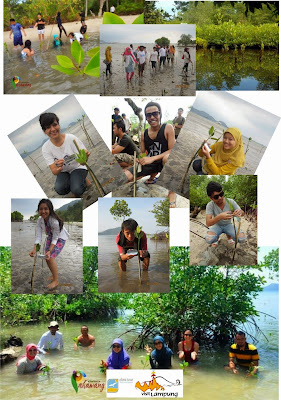 kegiatan paket ekowisata menanam mangrove