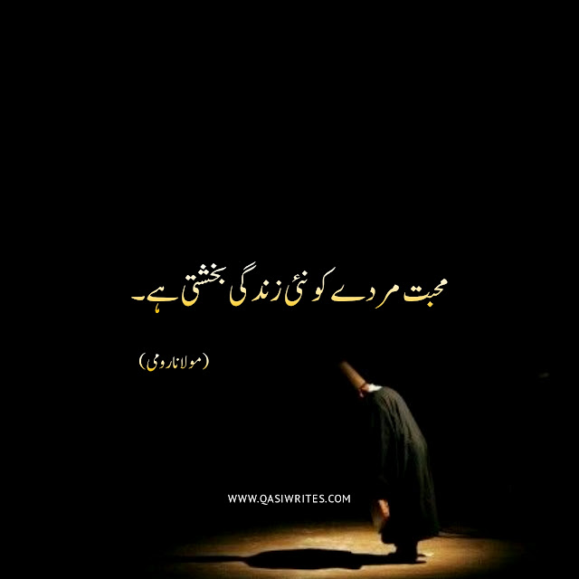 Maulana Rumi Best Quotes in Urdu | Deep Sufi Quotes - Qasiwrites