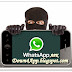 WhatsApp For Android 2.11.488 APK