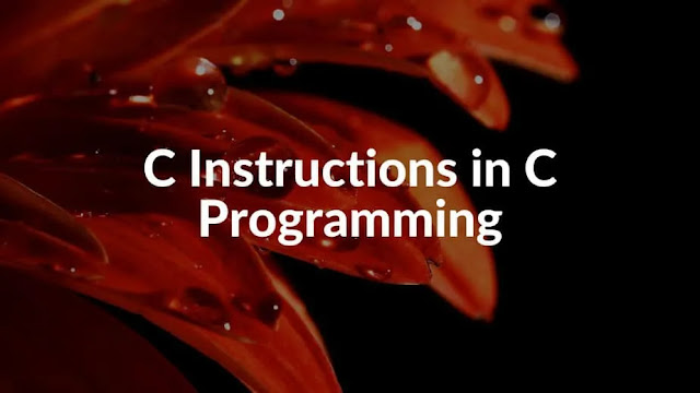Input/Output instruction in C