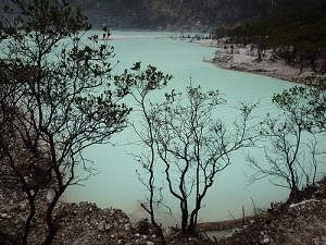 kawah putih ciwidey