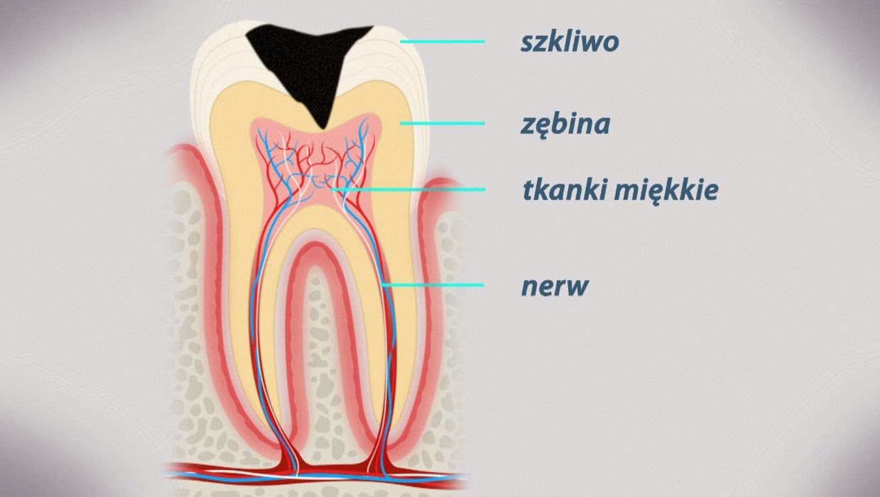 Ortodonta Grodzisk Mazowiecki