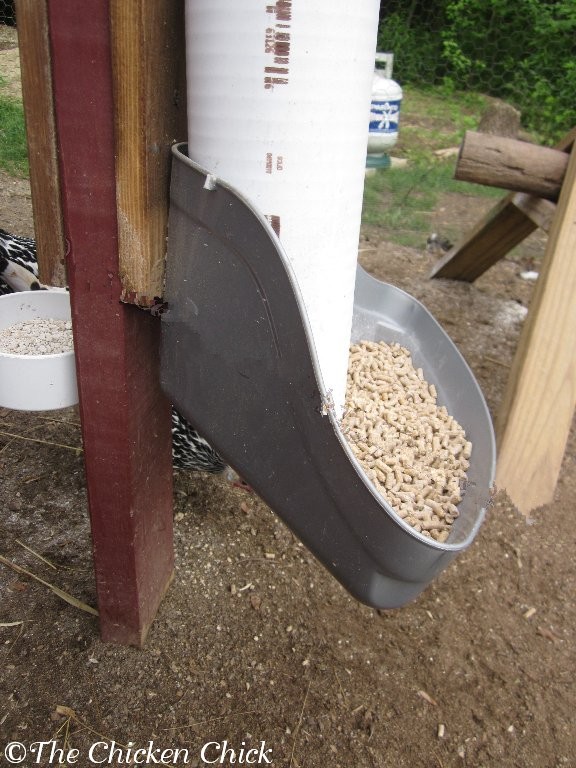 The Chicken Chick®: 15+ Tips to Control Rodents Around Chicken Coops