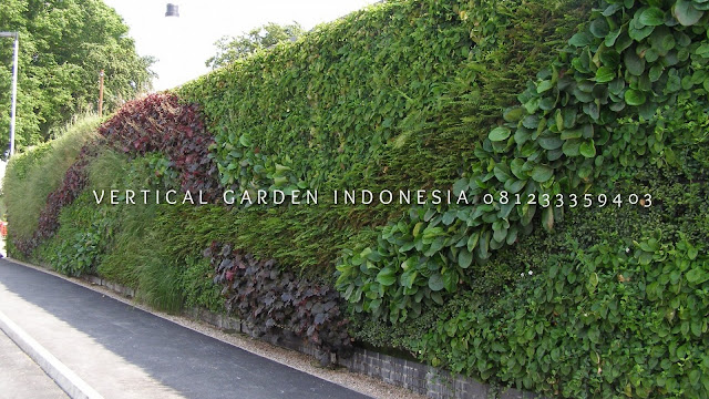 VERTICAL GARDEN INDONESIA SPESIALIS JASA PEMBUATAN VERTICAL GARDEN DI PEKALONGAN JAWA TENGAH DAN DI SELURUH WILAYAH JAWA TENGAH DENGAN TENAGA YANG PROFESIONAL DAN DAPAT DI PERCAYA YANG SELALU MENGUTAMAKAN SEBUAH MUTU DAN KUALITAS PEMASANGAN VERTICAL GARDEN/TAMAN DINDING, JASA TUKANG TAMAN VERTICAL PEKALONGAN JAWA TENGAH, JASA VERTICAL GARDEN PEKALONGAN JAWA TENGAH