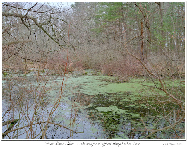 Great Brook Farm: ... the sunlight is diffused through white clouds...