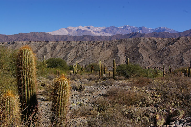 Nous repartons vers Salta