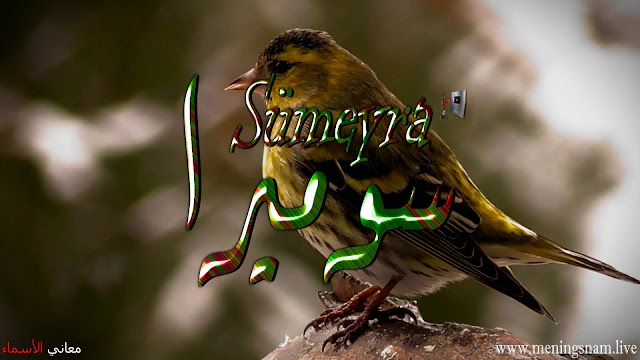 معنى اسم, سوميرا, وصفات, حاملة, هذا الاسم, Sumeyra,