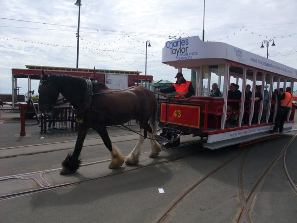 Horse Tram 0