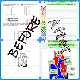 Digital interactive notebooks in the science classroom with an example by Science in the City