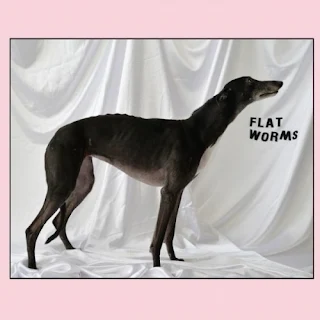 ALBUM: portada de "Flat Worms" (2017)