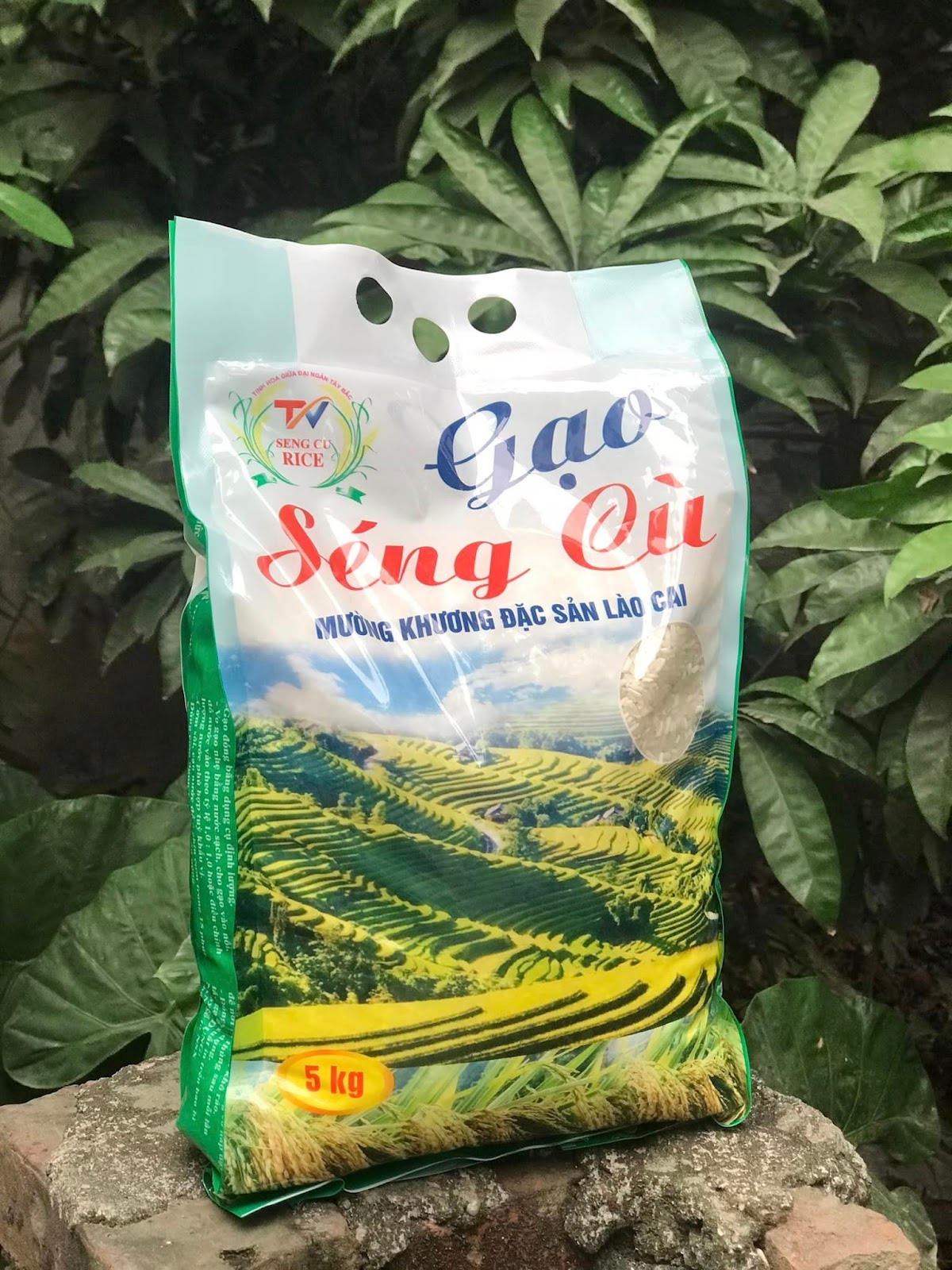 Gạo Séng Cù Mường Khương