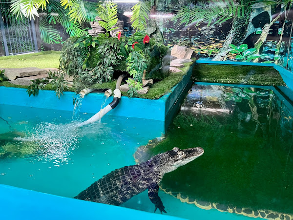  Review: Get To Know Animals, Epping - The Indoor Mini Zoo