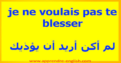 je ne voulais pas te blesser    لم أكن أريد أن يؤذيك