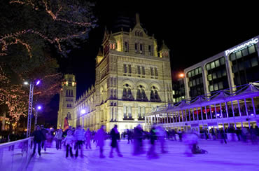 Natural History Museum Ice Rink