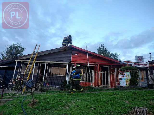 Incendio en Osorno daña dos inmuebles: Bomberos rescatan a cuatro gatitos