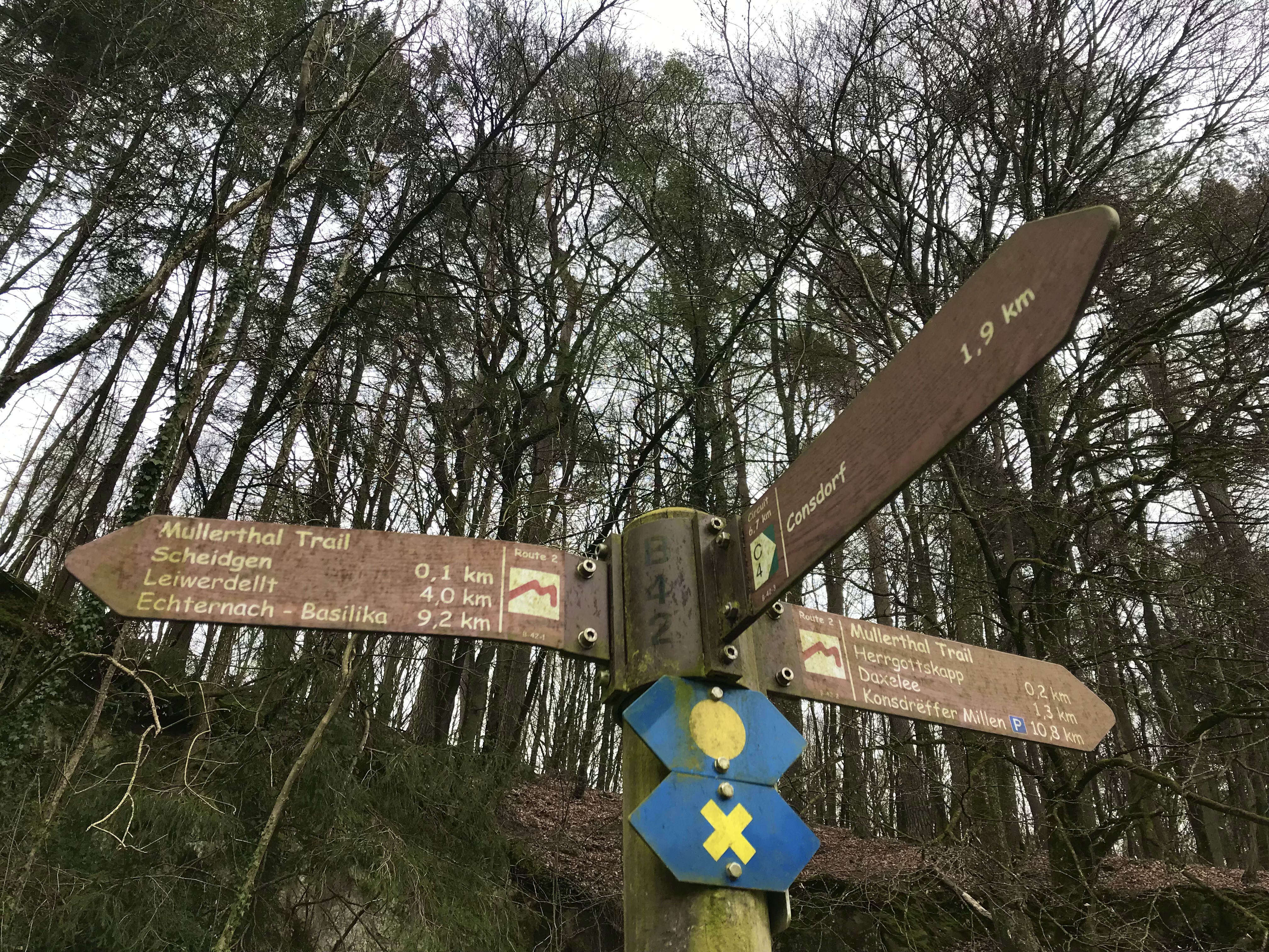 MULLERTHAL TRAIL, MULLERTHAL,  ECHTERNACH, LUXEMBURGO