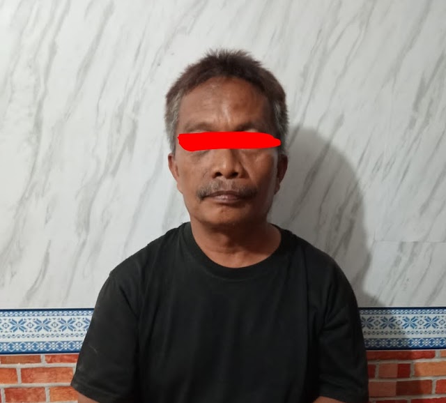 DIDUGA MELAKUKAN PERSETUBUHAN ANAK DIBAWAH UMUR, PRIA PARUH BAYA DITANGKAP POLISI